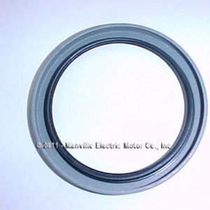 1672617 Oil Seal
