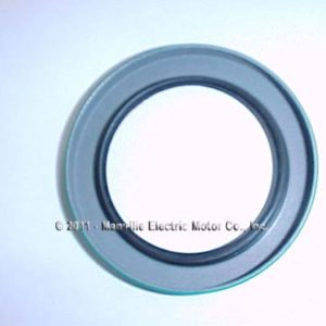 189734 Oil Seal