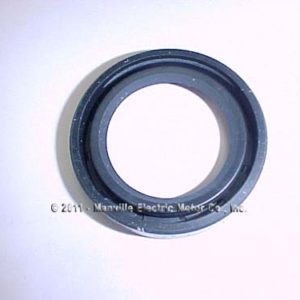 310314-000 Oil Seal
