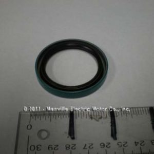 570-611/602 Oil Seal