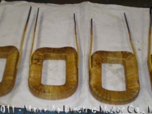 7219720-01 Field Coil